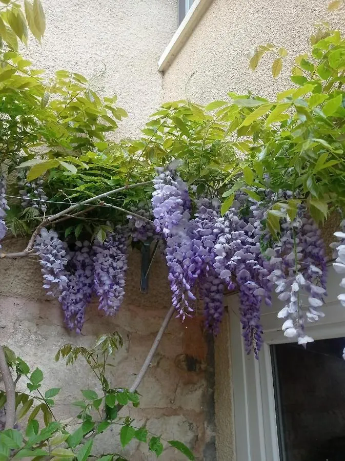 Bed & Breakfast Chambres D'Hotes - Les Varennes Saint-Georges-de-Reneins