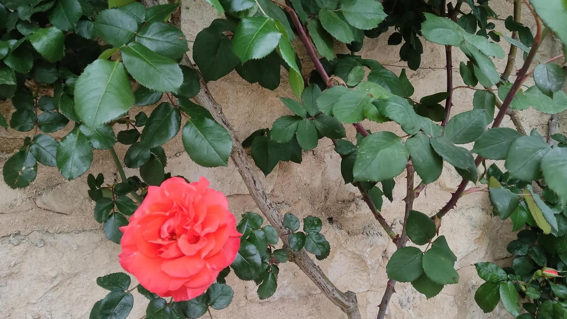 Bed & Breakfast Chambres D'Hotes - Les Varennes Saint-Georges-de-Reneins
